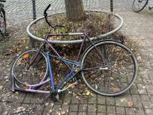 Bild zu gemeldetem Anliegen vom *2024-12-12 15:41:57