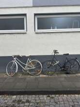 Bild zu gemeldetem Anliegen vom *2024-12-04 12:31:32