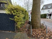 Bild zu gemeldetem Anliegen vom *2024-12-09 18:35:32