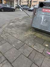 Bild zu gemeldetem Anliegen vom *2024-12-13 12:35:29