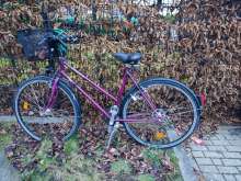 Bild zu gemeldetem Anliegen vom *2024-12-08 15:32:56