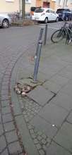 Bild zu gemeldetem Anliegen vom *2024-12-28 18:36:14