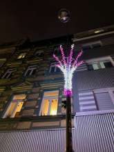 Bild zu gemeldetem Anliegen vom *2024-12-17 15:34:33