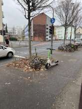 Bild zu gemeldetem Anliegen vom *2024-12-14 12:27:39