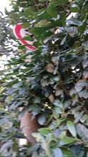Bild zu gemeldetem Anliegen vom *2025-01-21 15:04:05