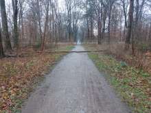 Bild zu gemeldetem Anliegen vom *2025-01-06 09:28:30