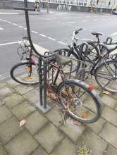 Bild zu gemeldetem Anliegen vom *2025-01-24 10:38:12