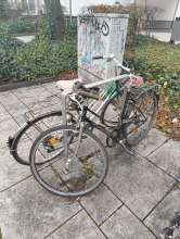 Bild zu gemeldetem Anliegen vom *2025-01-24 14:58:22