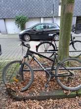 Bild zu gemeldetem Anliegen vom *2025-01-28 15:41:47