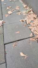 Bild zu gemeldetem Anliegen vom *2025-01-04 12:23:30
