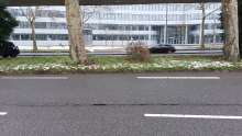 Bild zu gemeldetem Anliegen vom *2025-01-11 19:48:41