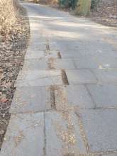 Platten driften auseinander