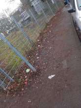 Gehweg Rückseite Gladhütte, 22.1.2025 