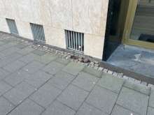 Bild zu gemeldetem Anliegen vom *2025-01-21 09:32:55