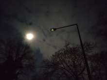 Bild zu gemeldetem Anliegen vom *2025-01-09 18:28:19