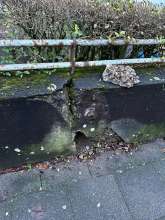 Bild zu gemeldetem Anliegen vom *2025-01-27 09:27:26