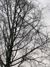 Bild zu gemeldetem Anliegen vom *2025-01-07 19:48:37