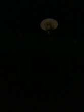 Bild zu gemeldetem Anliegen vom *2025-01-31 23:00:44