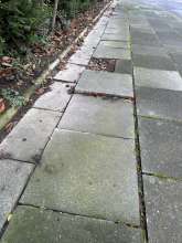Bild zu gemeldetem Anliegen vom *2025-01-12 18:27:37