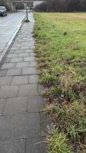Bild zu gemeldetem Anliegen vom *2025-01-07 09:29:36