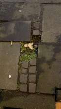 Bild zu gemeldetem Anliegen vom *2025-01-23 21:27:52