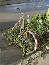 Bild zu gemeldetem Anliegen vom *2025-01-10 12:59:34