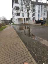Bild zu gemeldetem Anliegen vom *2025-01-07 09:29:36