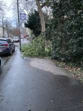 Bild zu gemeldetem Anliegen vom *2025-01-07 06:34:52