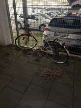 Bild zu gemeldetem Anliegen vom *2025-01-08 15:35:34