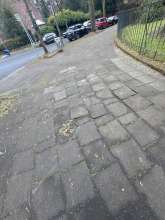 Bild zu gemeldetem Anliegen vom *2025-01-17 13:57:04