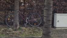 Bild zu gemeldetem Anliegen vom *2025-02-06 12:28:23