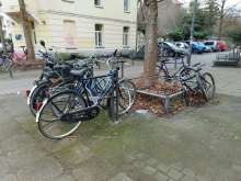 Bild zu gemeldetem Anliegen vom *2025-02-15 15:29:00