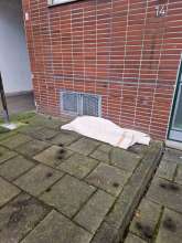 Bild zu gemeldetem Anliegen vom *2025-02-27 09:31:47