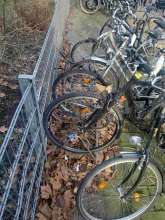 Bild zu gemeldetem Anliegen vom *2025-02-11 11:27:57