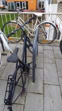 Bild zu gemeldetem Anliegen vom *2025-02-25 09:29:26