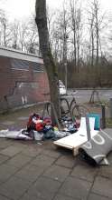Bild zu gemeldetem Anliegen vom *2025-02-25 18:08:29