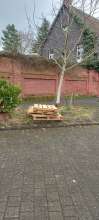 Bild zu gemeldetem Anliegen vom *2025-02-28 12:27:22