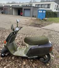 Bild zu gemeldetem Anliegen vom *2025-02-12 18:08:21