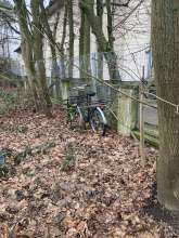 Bild zu gemeldetem Anliegen vom *2025-02-11 12:30:36