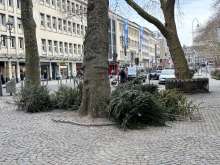 Bild zu gemeldetem Anliegen vom *2025-02-25 09:29:26