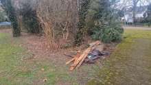 Bild zu gemeldetem Anliegen vom *2025-02-25 12:28:25