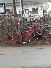 Bild zu gemeldetem Anliegen vom *2025-02-05 10:06:57