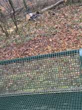 Bild zu gemeldetem Anliegen vom *2025-02-05 10:23:21