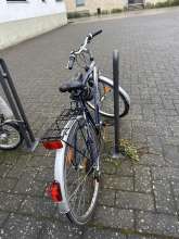 Bild zu gemeldetem Anliegen vom *2025-02-13 09:30:18