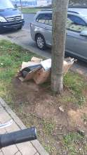 Bild zu gemeldetem Anliegen vom *2025-03-26 16:54:55
