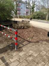 Bild zu gemeldetem Anliegen vom *2025-03-23 12:29:49