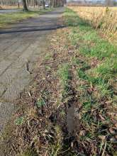 Bild zu gemeldetem Anliegen vom *2025-03-23 07:45:28