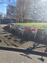 Bild zu gemeldetem Anliegen vom *2025-03-03 15:31:47