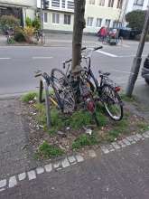 Bild zu gemeldetem Anliegen vom *2025-03-16 15:31:13