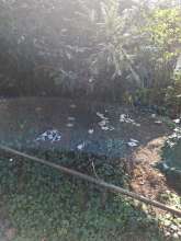 Bild zu gemeldetem Anliegen vom *2025-03-24 13:42:03